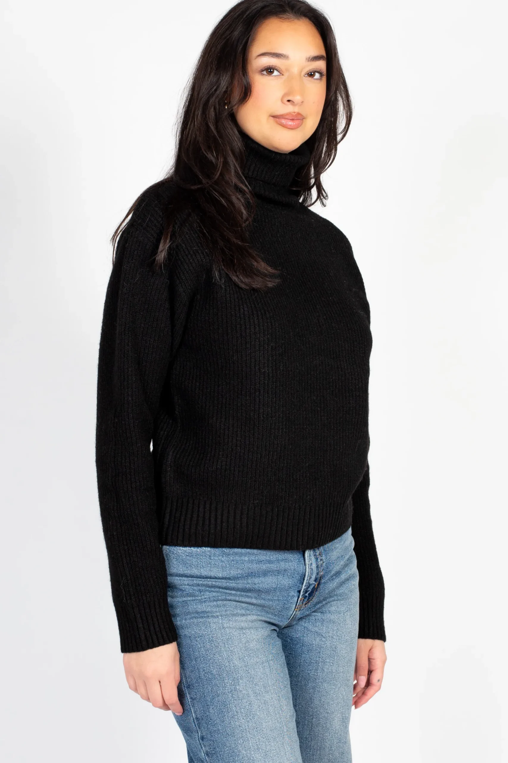 Double Zero Celina Ribbed Turtleneck Sweater Online